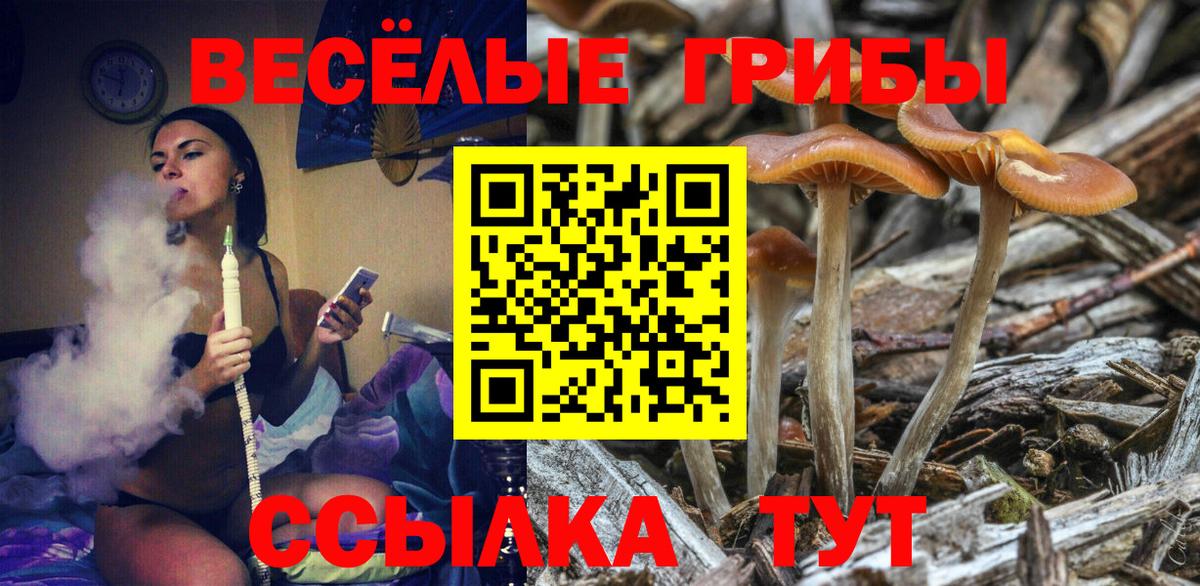 Галлюциногенные грибы Magic Shrooms  Вход с VPN  Галлюциногенные грибы Cubensis  Самара 