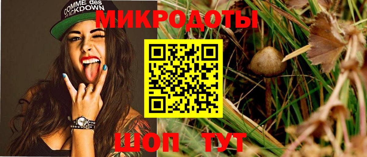 Псилоцибиновые грибы Psilocybine cubensis Самара
